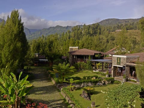 Day, Garden view