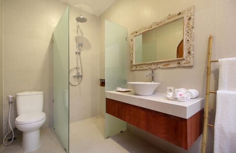 Toilet, Bathroom, towels