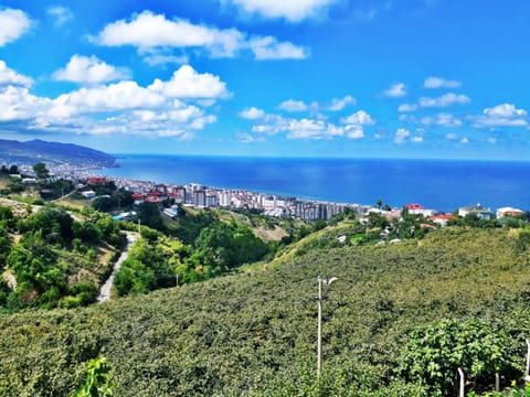 Natural landscape, Balcony/Terrace, City view, Garden view, Mountain view, Sea view, Street view