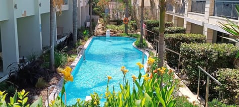 Spring, Day, Garden, Pool view, Swimming pool