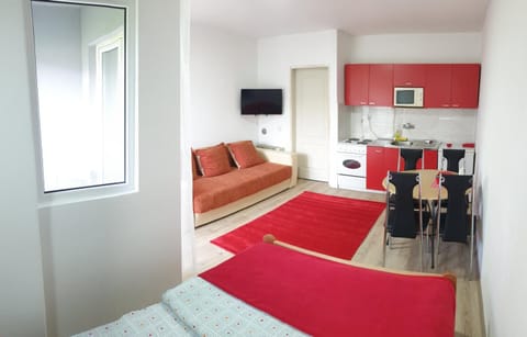 Apartman 4 - Studio Janja Apartment in Serbia