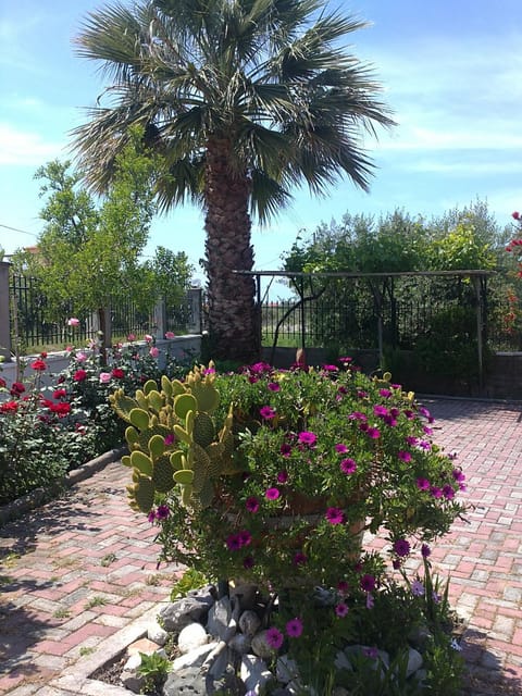 Patio, Facade/entrance, Day, Garden