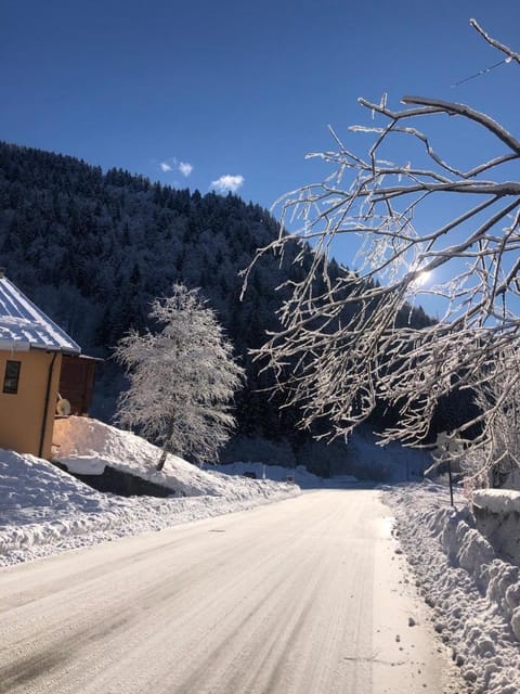 Ex Funivia Lussari Apartment in Friuli-Venezia Giulia