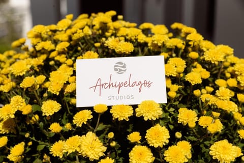 Archipelagos Studios Apartment in Naousa