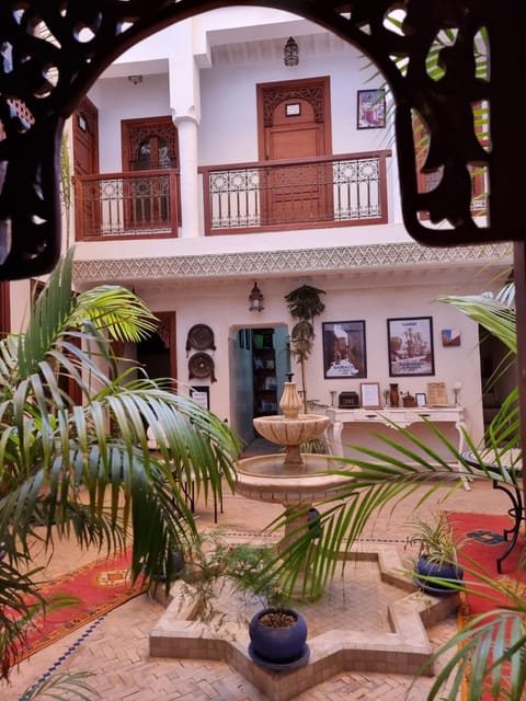 Patio, Garden, Inner courtyard view