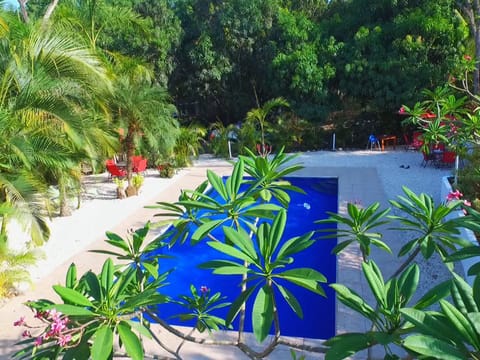 Pool view, Swimming pool
