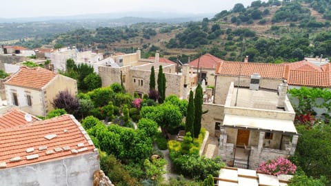 Neighbourhood, Bird's eye view, Garden