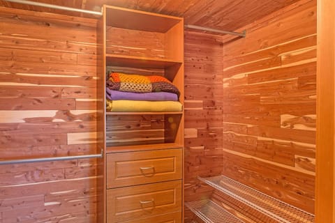 The Dragonfly Cabin Cabin in Grayland