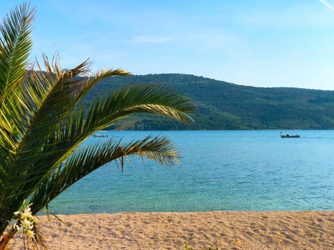 Natural landscape, Fishing, Snorkeling, Beach, Windsurfing, Hiking, Diving