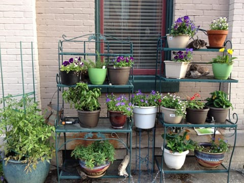 Spring, Decorative detail, On site