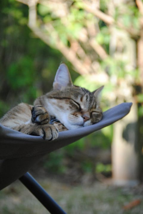 Les Chambres De La Loge Bed and Breakfast in Centre-Val de Loire