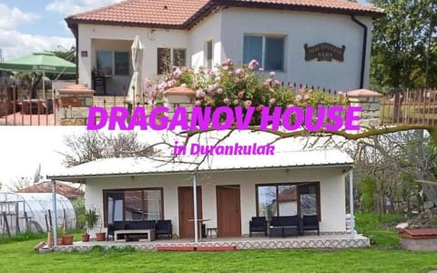 Garden, Garden view, Street view