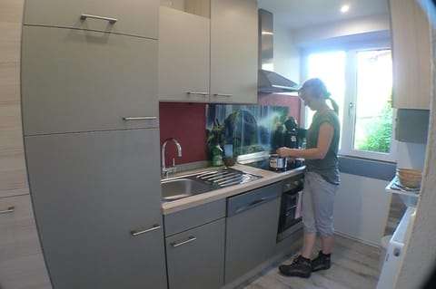 Apartment Edith Top 1 Apartment in Salzburgerland