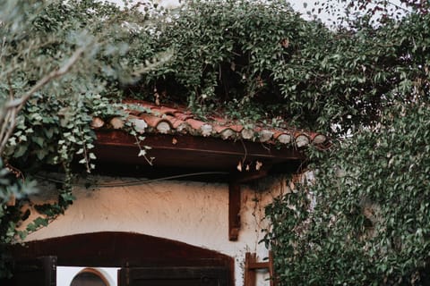 Property building, Day, Garden, Garden view