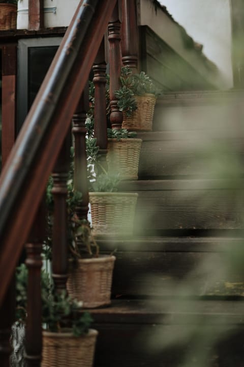 Day, Garden, Garden, View (from property/room), Balcony/Terrace, Garden view