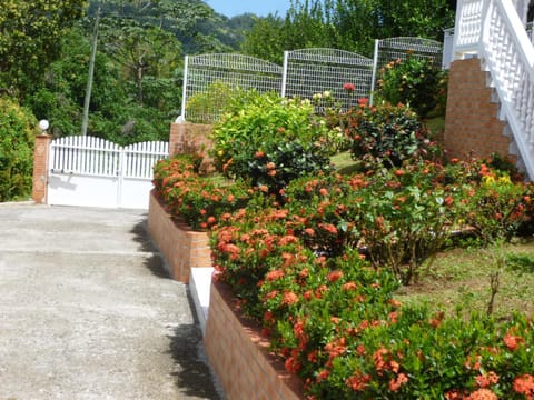 Garden, Street view
