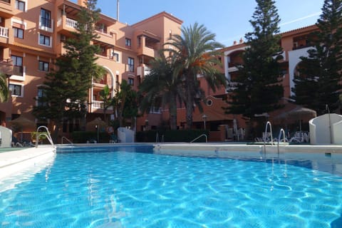 Garden, Swimming pool