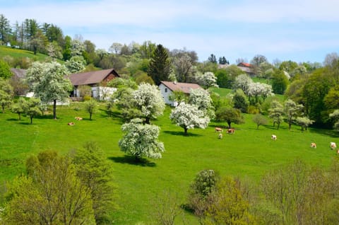 Natural landscape