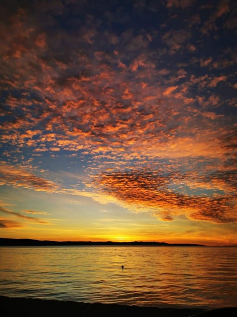 Apartment By The Sea Apartment in Split-Dalmatia County