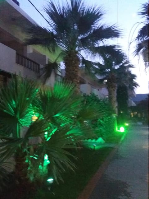 Lia Sofia Apartments Apartment in Stalida