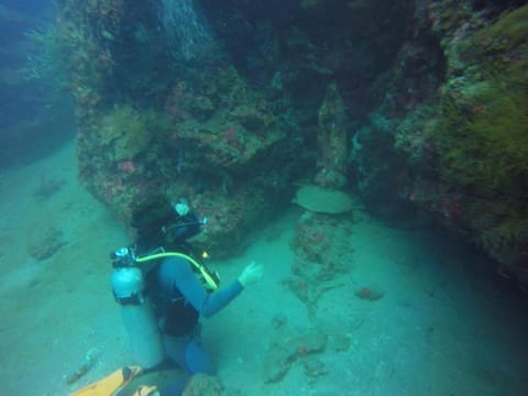 Diving