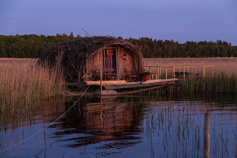 Lake view