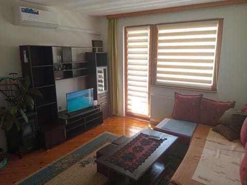 Bed, TV and multimedia, Living room, Photo of the whole room, Seating area, air conditioner