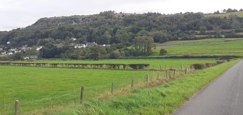 Plumtree House Bed and Breakfast in England