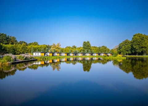 Natural landscape, Activities, Fishing, Garden, Garden view, Lake view
