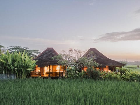 Property building, Natural landscape