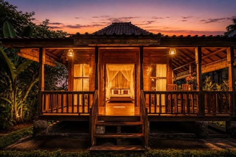 Property building, Patio, Night, Garden view