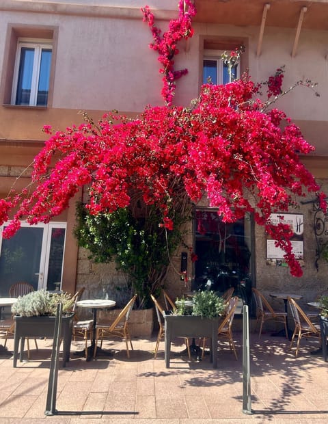 Holzer II Hotel in Porto-Vecchio