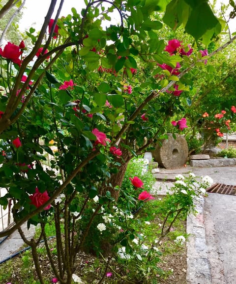 Garden, Garden view
