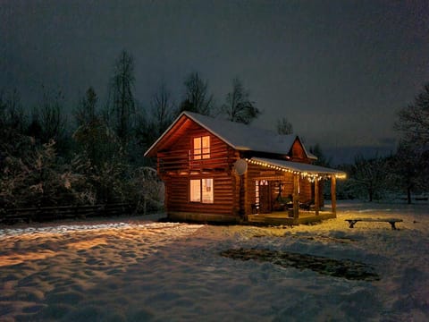 Property building, Night, Winter