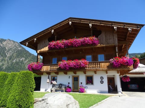 Property building, Summer