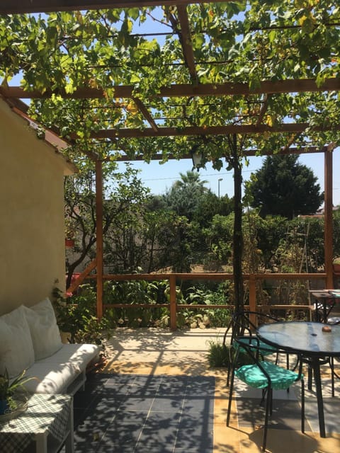 Garden view