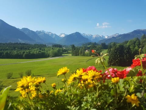 Balcony/Terrace, Garden view, Garden view, Landmark view, Landmark view, Mountain view, Mountain view, Street view