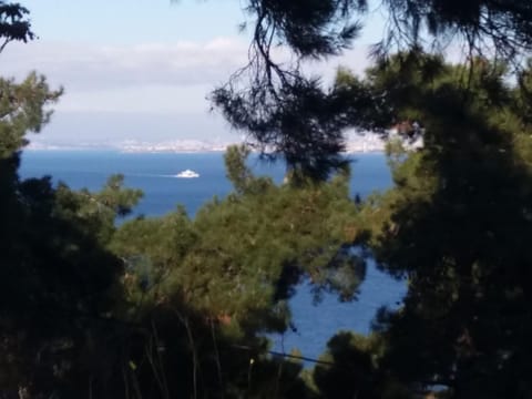 View (from property/room)