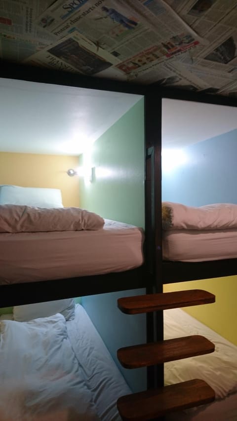 The Backpack Shack Hostel in Western Cape