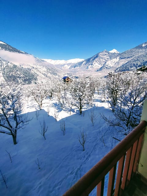 View (from property/room)