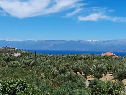 3 ASTERIA Apartment in Messenia