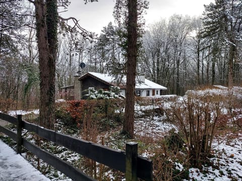 Chalet des pins d'Autriche Chalet in Wallonia, Belgium