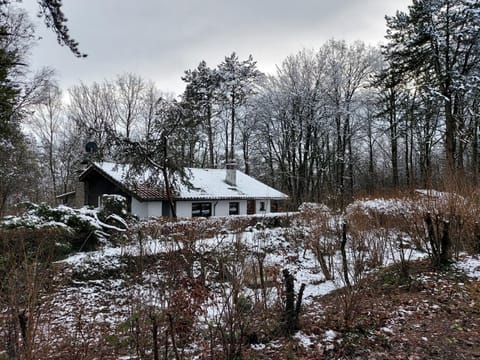 Chalet des pins d'Autriche Chalet in Wallonia, Belgium