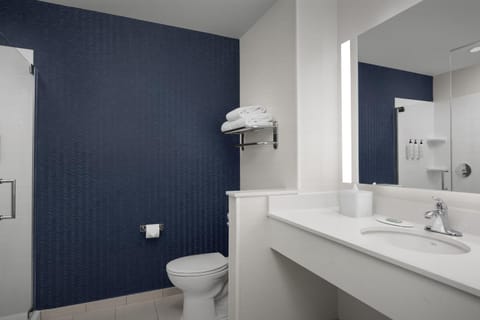 Shower, Toilet, Bathroom, towels