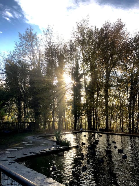 Property building, Patio, Garden, On site, Sunrise