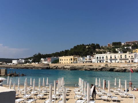 Nearby landmark, Natural landscape, Beach