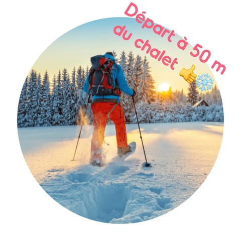 Chalet Le Vintage Chalet in La Bresse