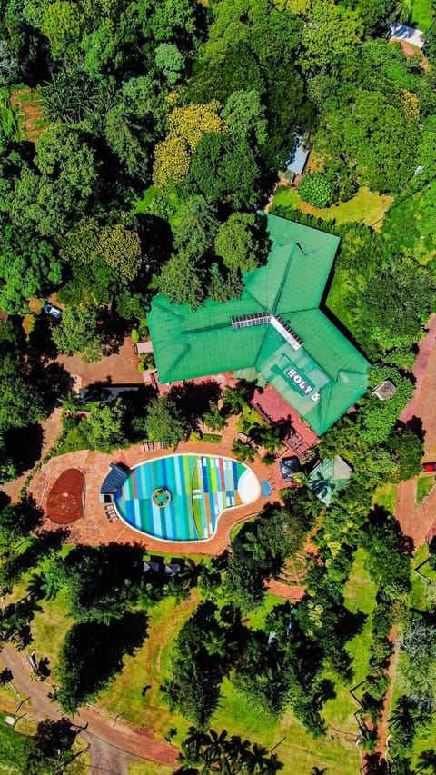 Bird's eye view, Garden view