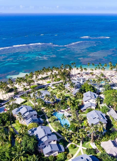 Bird's eye view, Beach