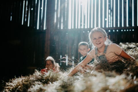 Bauernhofurlaub Sinnhubgut Farm Stay in Salzburgerland